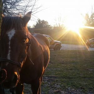 Meet your Posher, Trevor